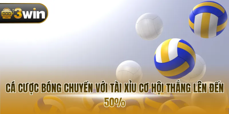 Cá cược bóng chuyền với Tài Xỉu cơ hội thắng lên đến 50%