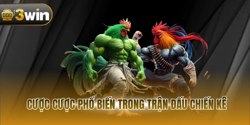 Cược cược phổ biến trong trận đấu chiến kê