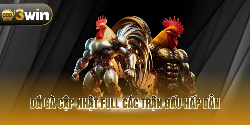 Đá gà cập nhật full các trận đấu hấp dẫn