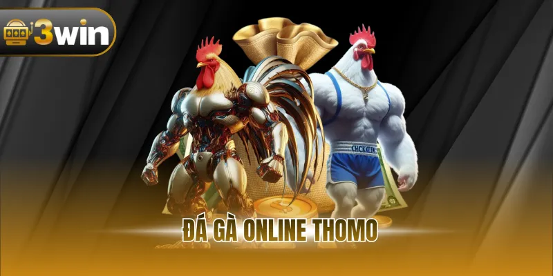 Đá Gà Online Thomo - Trải Nghiệm Trận Đấu Đỉnh Cao Tại 3WIN