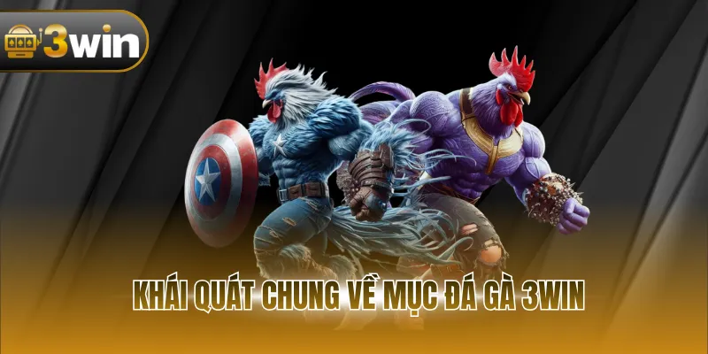 Khái quát chung về mục đá gà 3WIN
