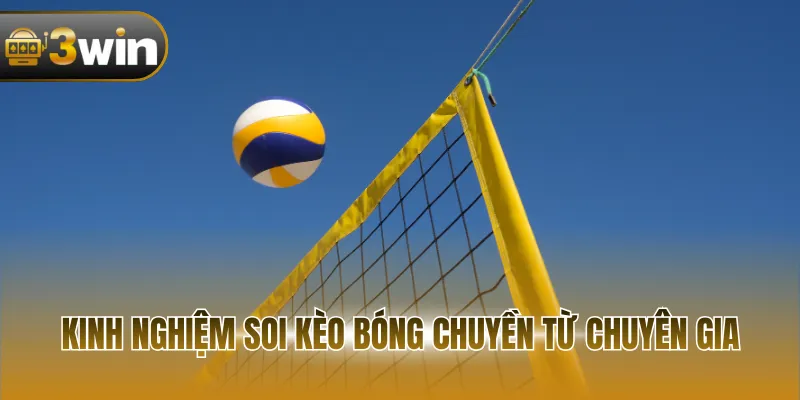 Kinh nghiệm soi kèo bóng chuyền từ chuyên gia