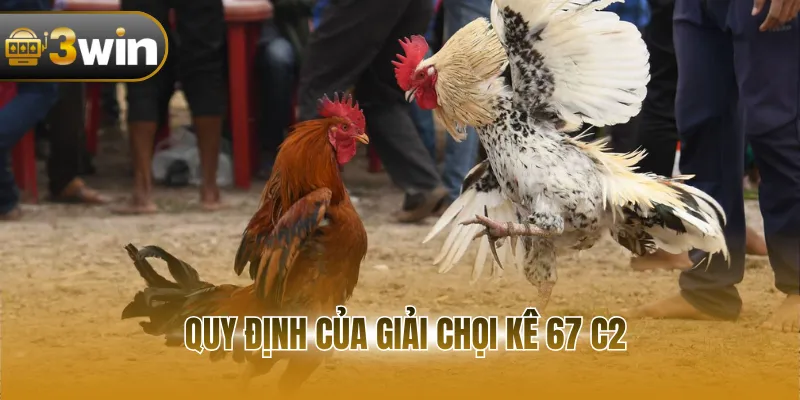 Quy định của giải chọi kê 67 C2