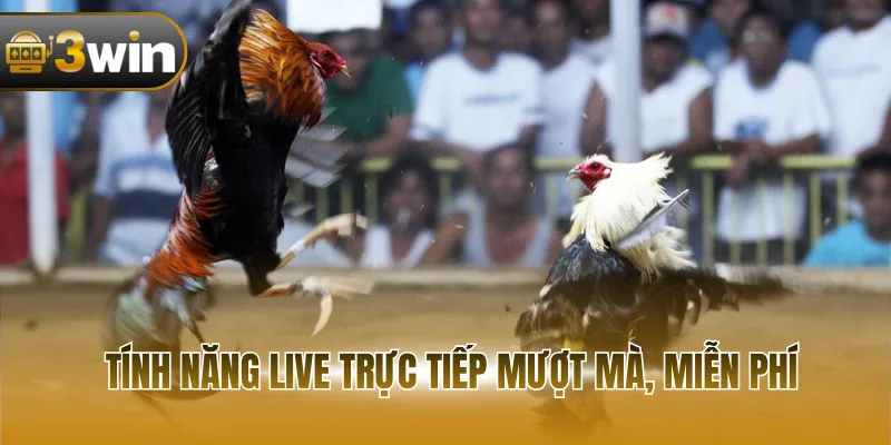 Tính năng live trực tiếp mượt mà, miễn phí